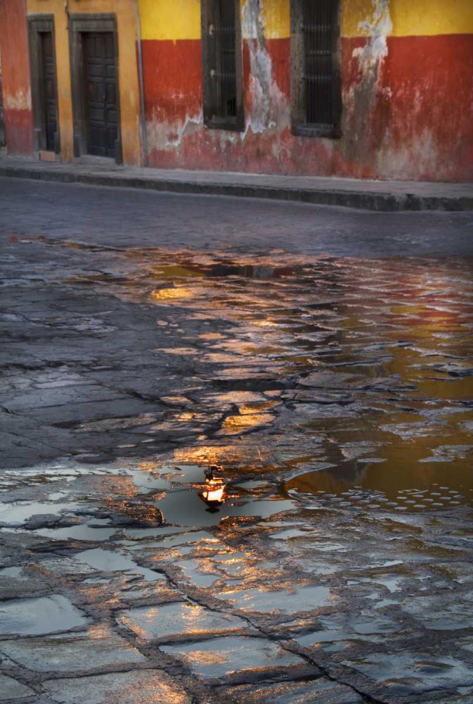Mexico Cobblestone street with water reflections art print by Nancy Rotenberg for $57.95 CAD
